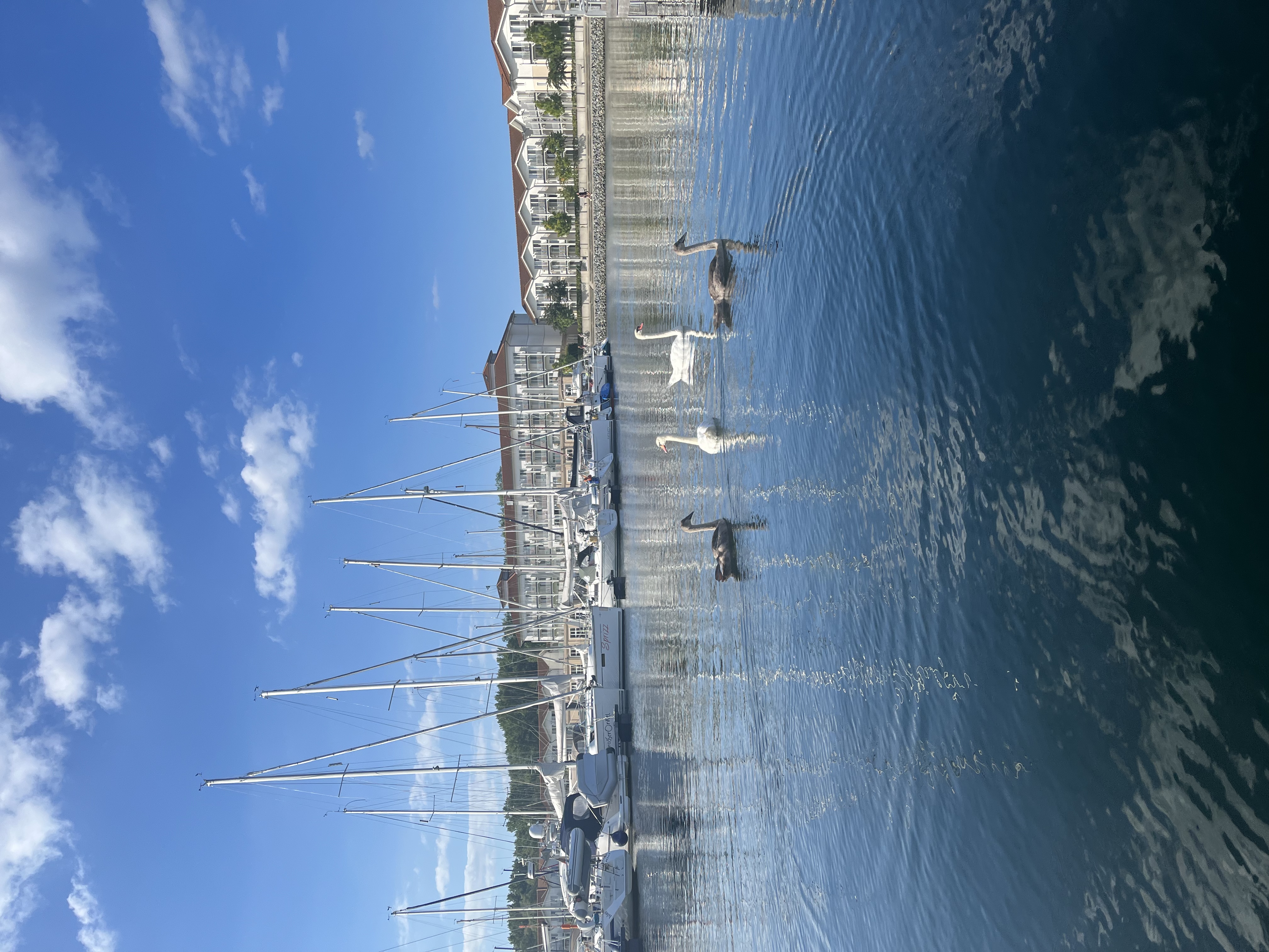 Marina bei Tageslicht